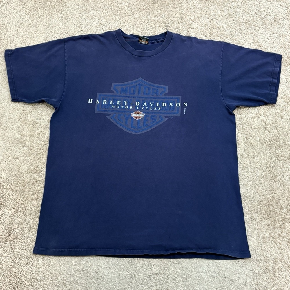 Vintage Y2K Harley Davidson T-Shirt Men's XL Motorcycle Wild Fire Biker